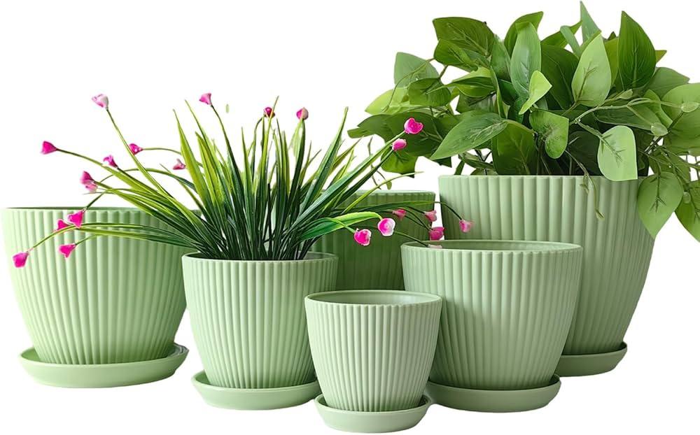 Plant Planters with Drainage Holes and Trays Pack of 6 Plant Pots 7.5/6.5/5.5/4.9/4.2/3.5 Inches ... | Amazon (US)