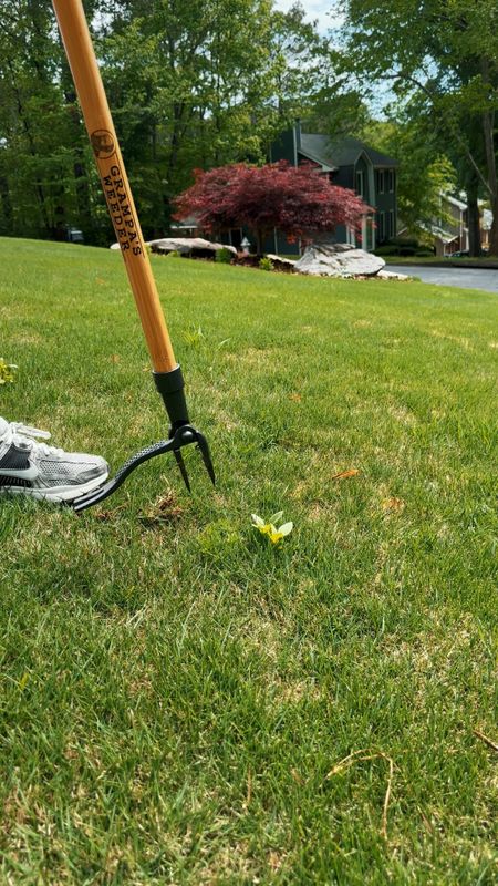 The garden tool that will save your back! This handy weed puller from Amazon is a game changer. 

Gardening
Yard
Outdoor Tool
Backyard

#LTKSeasonal #LTKfindsunder50 #LTKhome