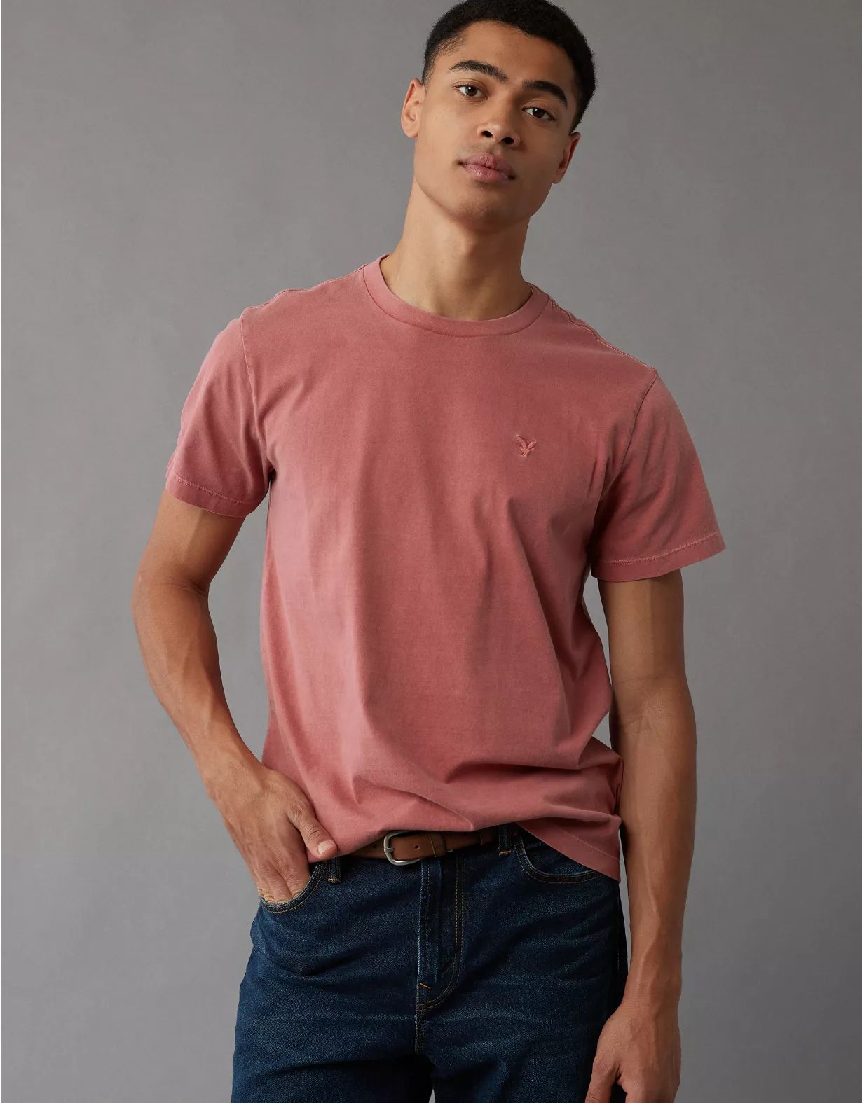 AE Legend Slim Fit T-Shirt | American Eagle Outfitters (US & CA)