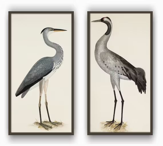 Heron Birds Print Living Room Decor Vintage Bird Illustration Set of 2 Bird Poster Large Wall Dec... | Etsy (US)