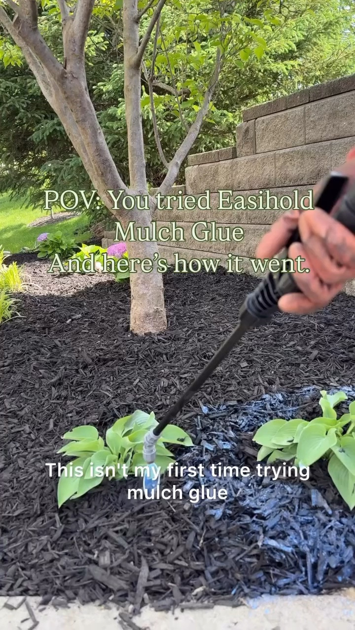My top tips for using Easihold mulch glue in your garden this season!

Last year, I thought I had it all figured out but I was actually using the wrong product and the wrong method. Fast forward to now: it’s been two weeks since we sealed our garden beds with Easihold, and I’m so impressed! The mulch is staying perfectly in place, and I can even use the leaf blower without sending it flying everywhere.

Want the exact product I used? Just drop a comment below and I’ll send you the link. Make sure to watch the whole video, my best tips are right at the end!

#mulchglue