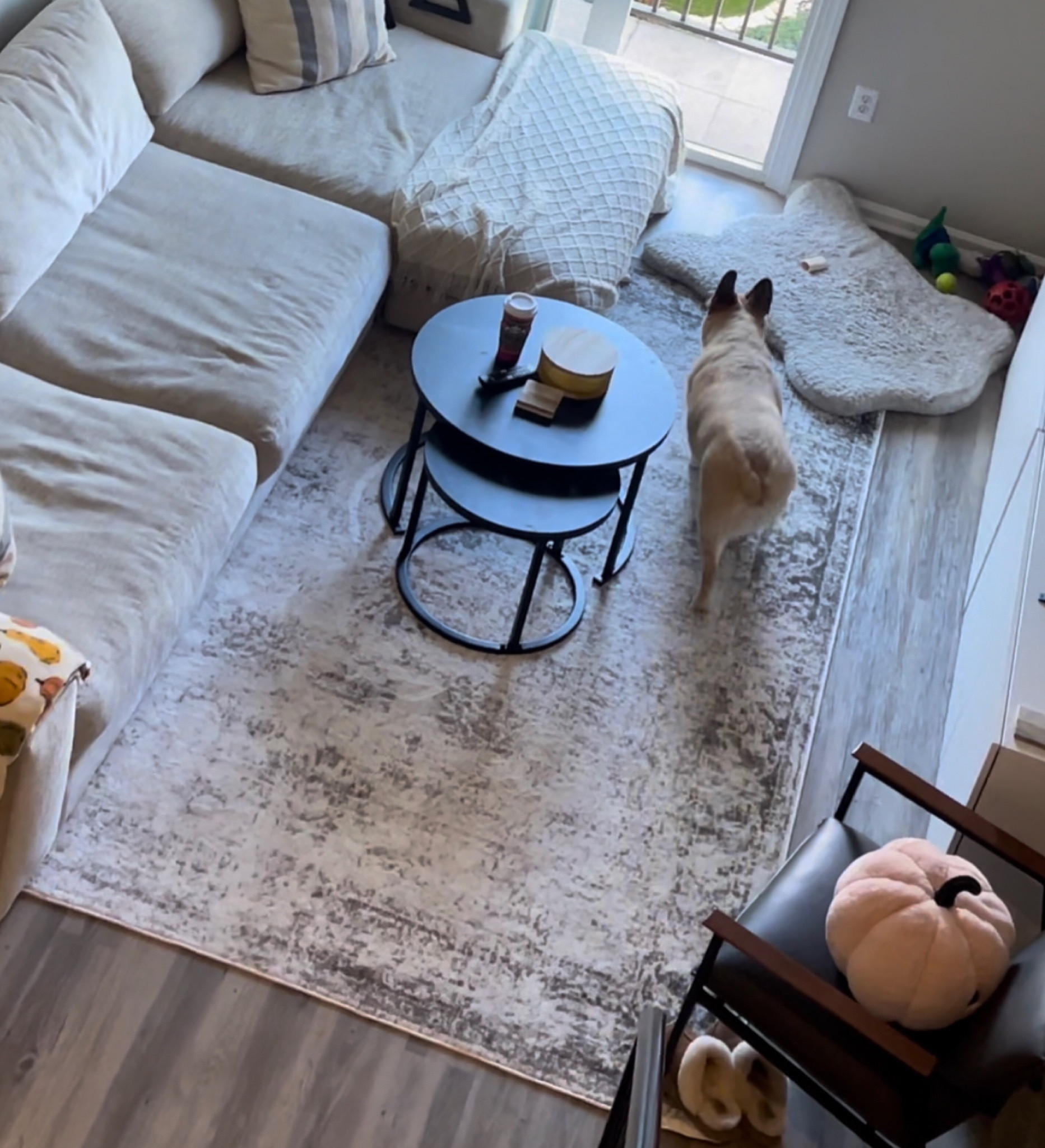 Our 7’ x 10’ rug is on SALE!! Originally $323.99, it’s currently only $76! 

#LTKfindsunder100 #LTKhome #LTKCyberWeek