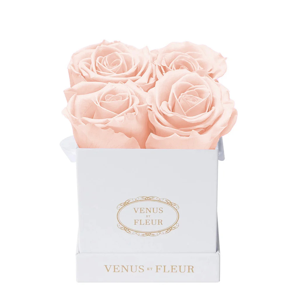 Le Petit Signature White | Venus ET Fleur