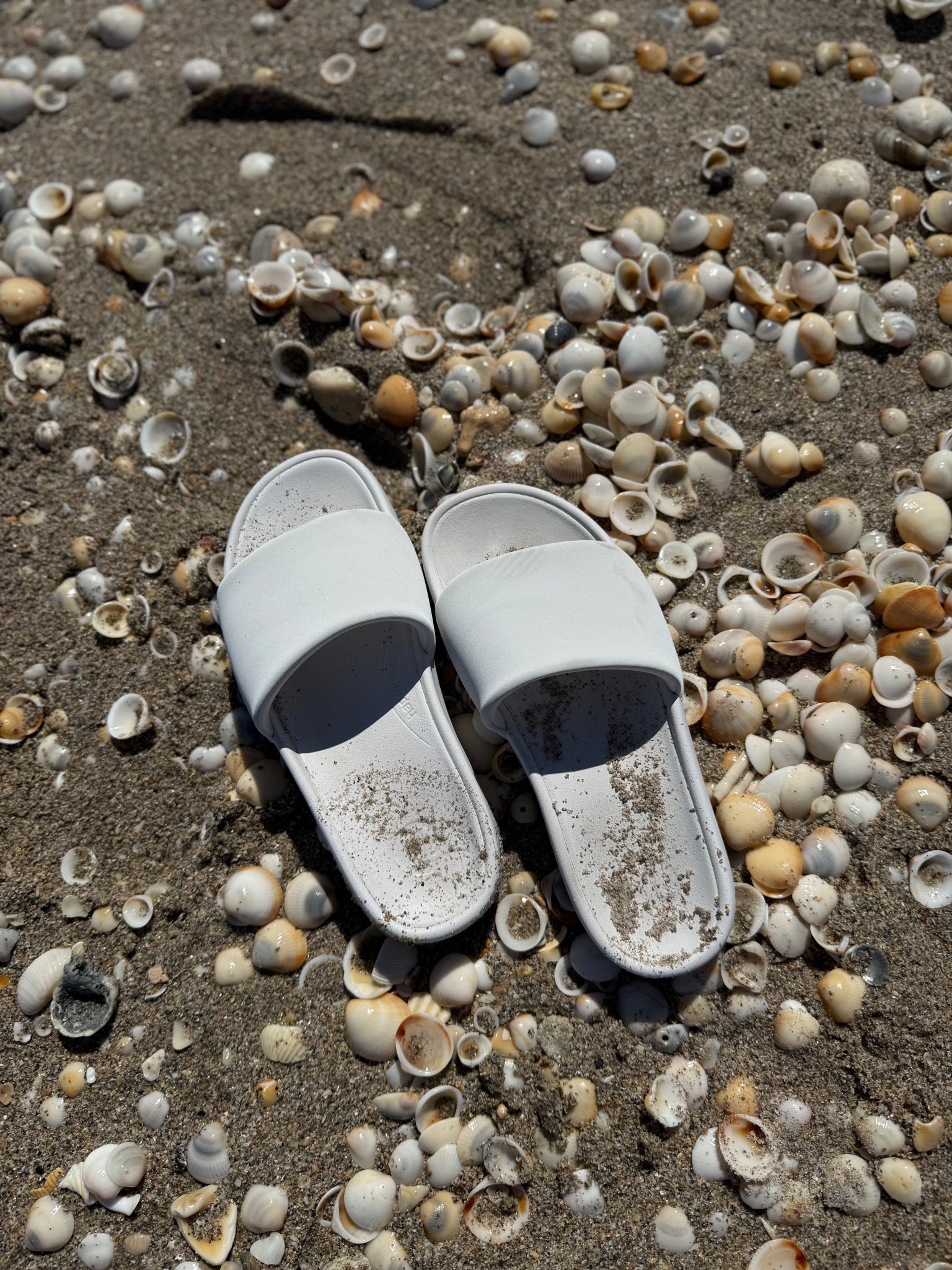 These shoes to the rescue… they are SO comfy!  Run a tad bit big so consider sizing down.

#LTKTravel #LTKActive #LTKShoeCrush