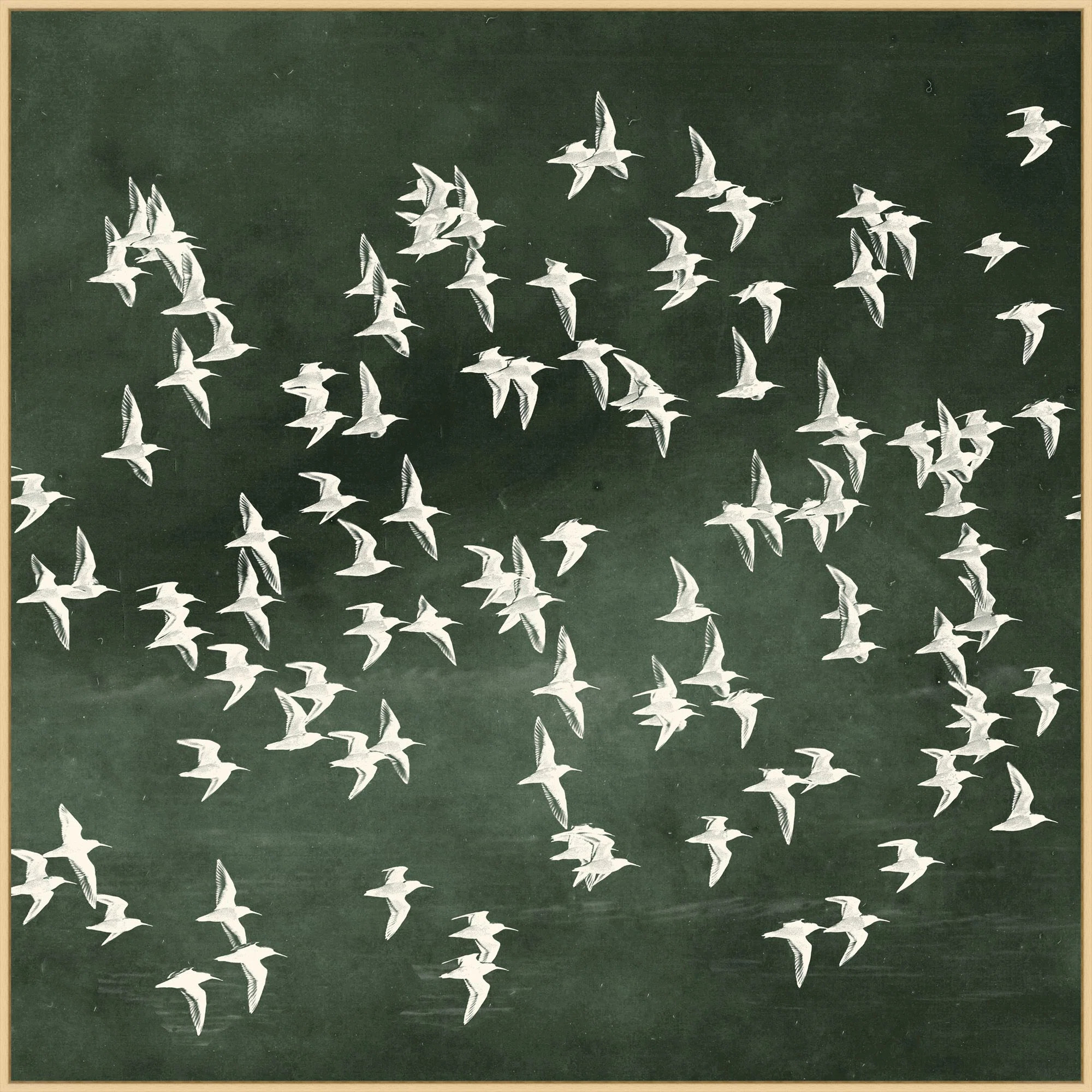 Flight Of Passage 2 (Green) Print by Thom Filicia | Perigold