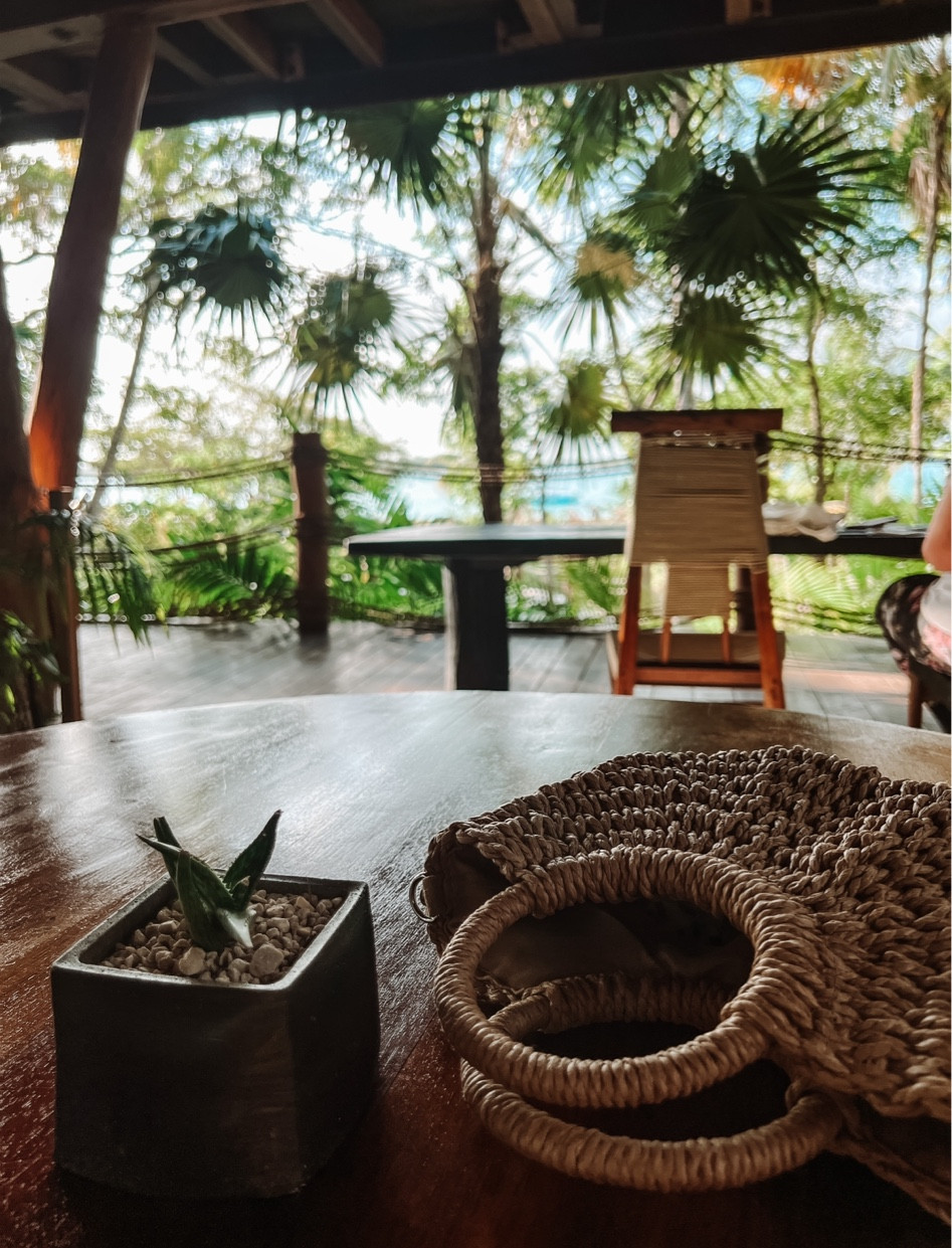 I’ve used this cute little bag every day of our trip to Mexico so far - it comes with a strap to use as a cross body, too! Amazon finds, vacation outfits 

#LTKtravel #LTKunder50 #LTKFind