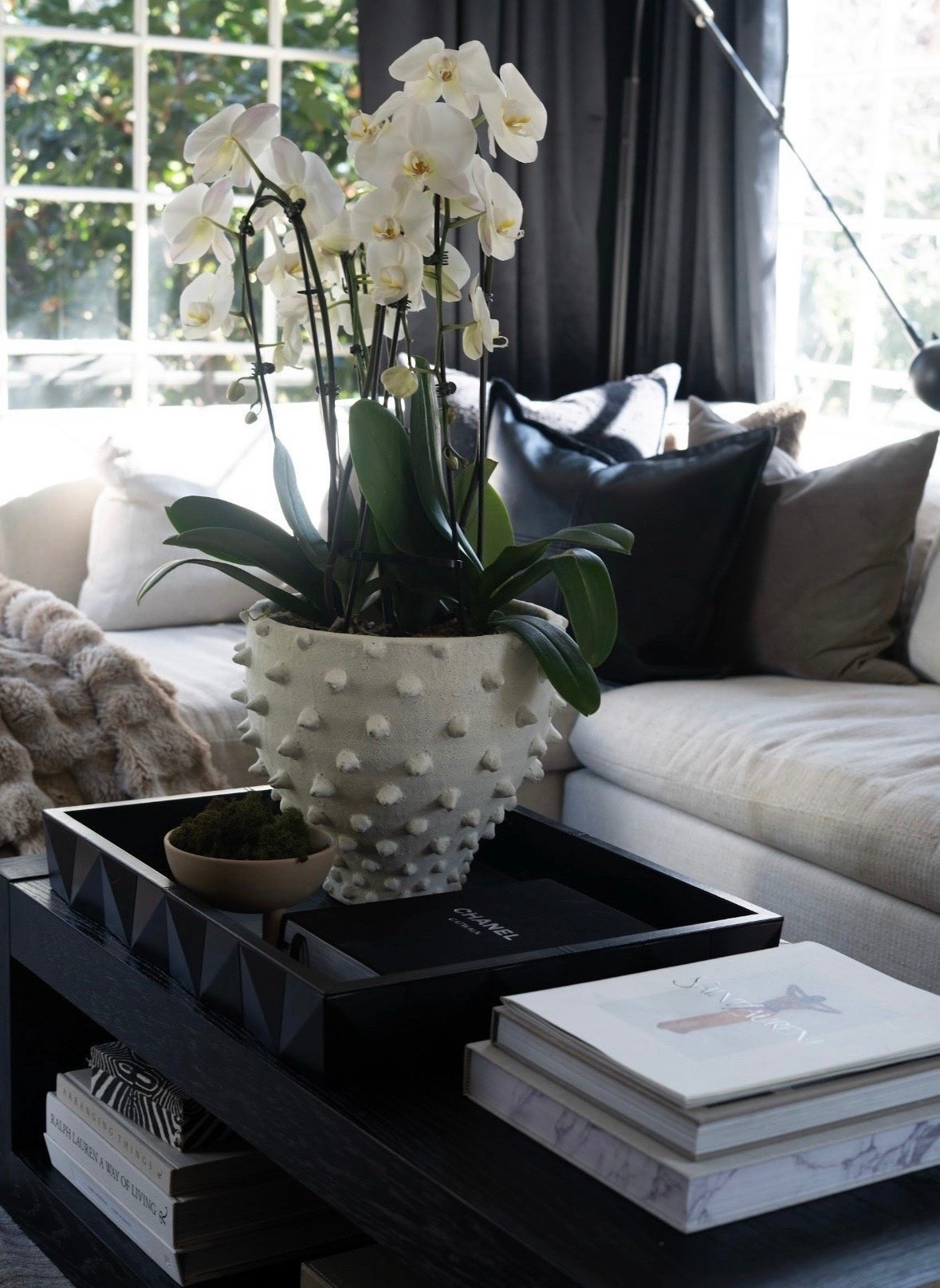 Love these iconic pieces for home! Modern, classic, neutrals with plenty of drama!

#LTKHome #LTKSeasonal #LTKdayinmylife