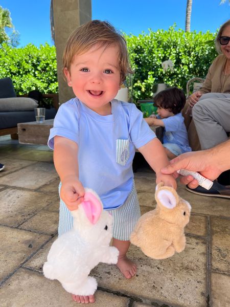 Hoppy Easter! 

The cutest real life bunnies that hop and are battery operated. Great idea when your kids want pets but don’t want the responsibility. They come with fake carrots too! 

Linking Beau’s outfit too! 

Baby boy style, baby boy spring style, toddler boy spring style, pet rabbit, stuffed animal rabbit

#LTKkids #LTKbaby #LTKfamily