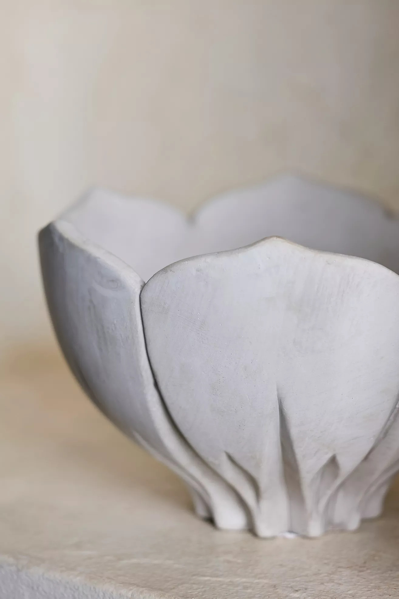 Floral Bowl Cement Planter | Anthropologie (US)