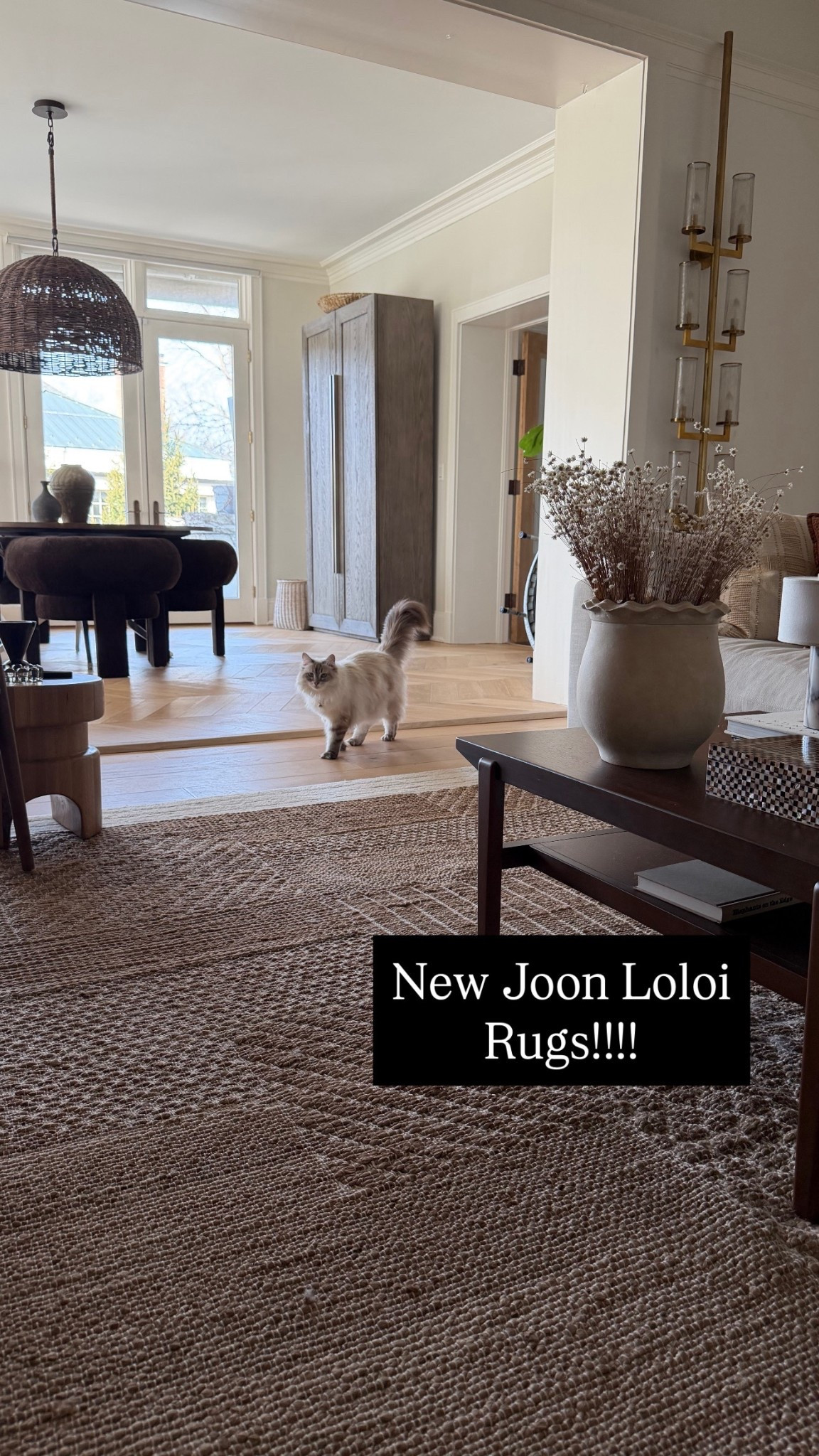 Join Loloi new rug drop! 

#LTKSeasonal #LTKSpringSale #LTKHome