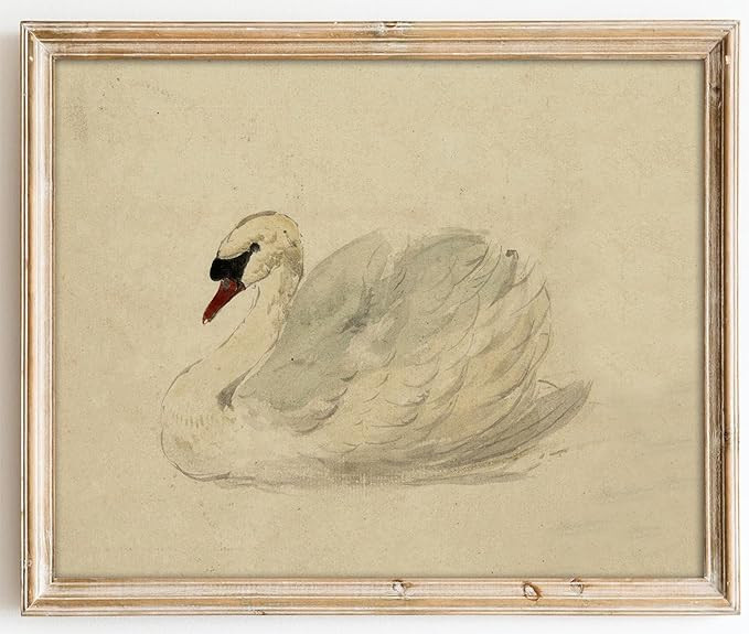 Kizbok Vintage Wall Art Decor Classical Swan Canvas Prints Farmhouse Wall Decor Rustic Watercolor... | Amazon (US)