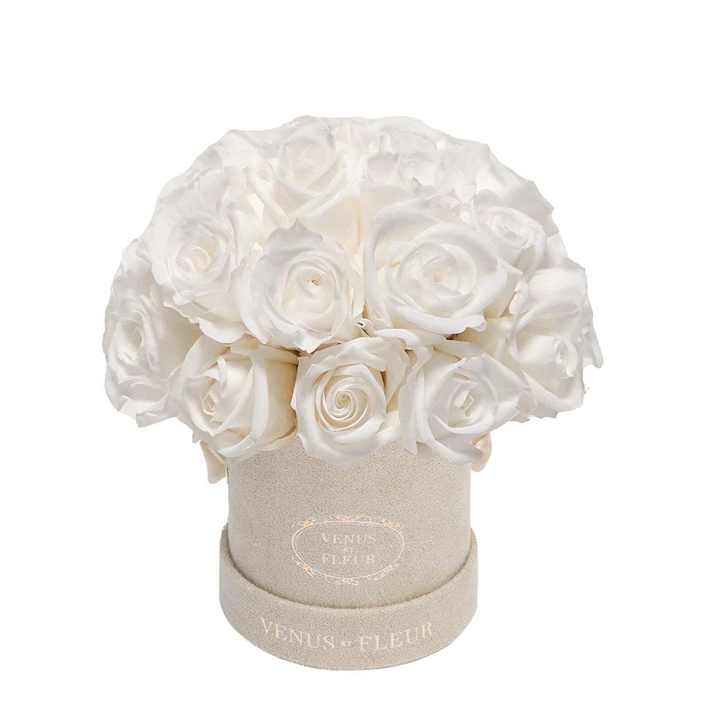 Mini Le Plein | Venus ET Fleur