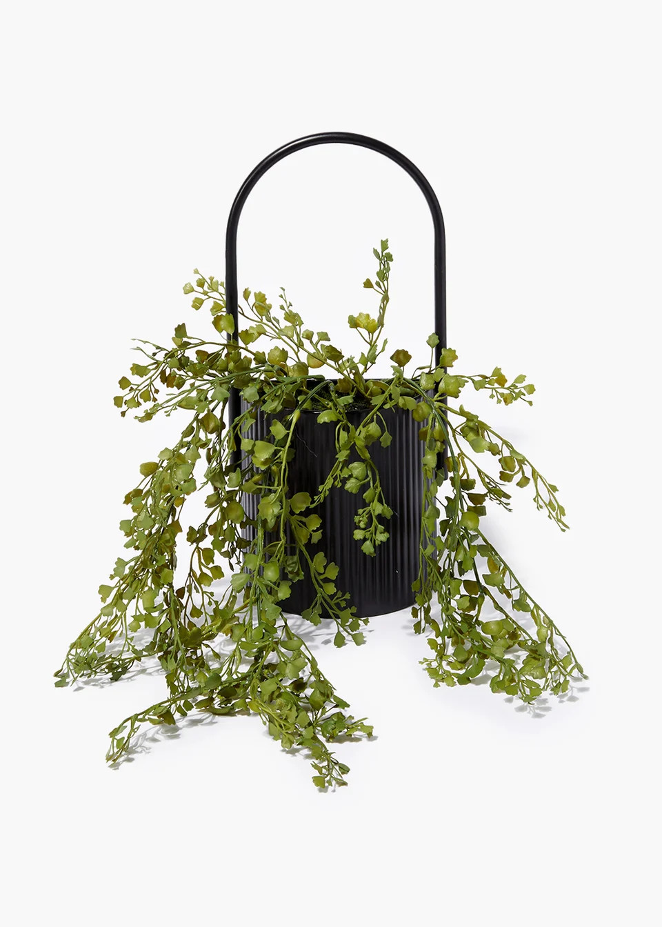 Trailing Plant in Black Metal Pot (43cm) | Matalan (UK)