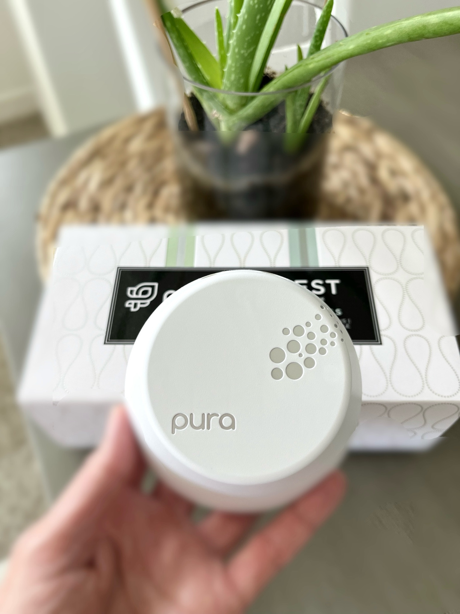 If you want non-toxic, clean, refreshing vegan plugin scents for your home, this is it. Plus, it’s also a nightlight and can be controlled with your smartphone. Highly recommend. It’s worth every penny!  #vegan #crueltyfree #homescents #ecofriendly 

#LTKHome #LTKFindsUnder50 #LTKFallSale