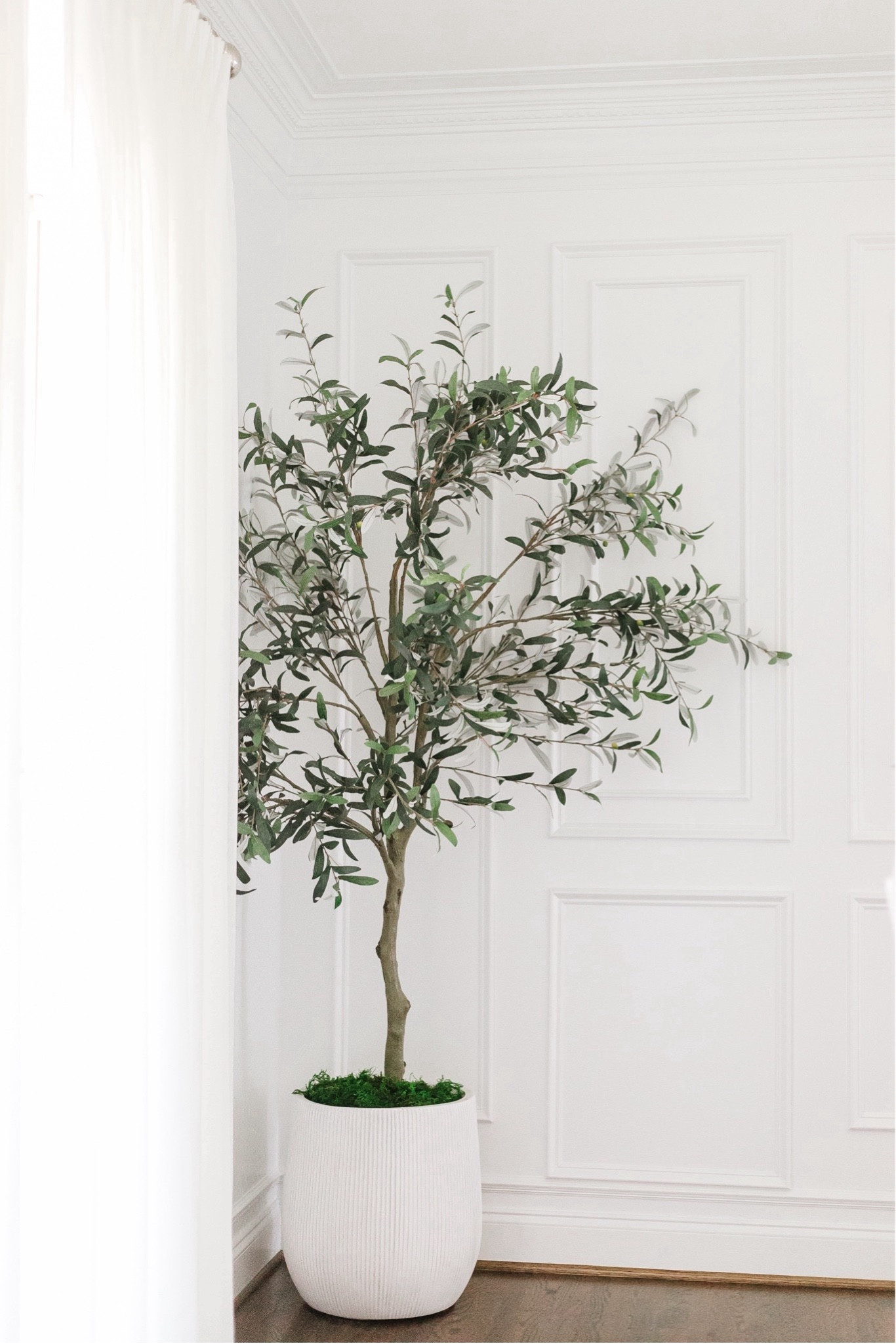 The Best Faux Olive Tree 🌿

olive tree // amazon finds // olive tree planter // amazon faux tree // amazon home finds // faux tree // amazon home decor

#LTKHome #LTKFindsUnder50 #LTKFindsUnder100