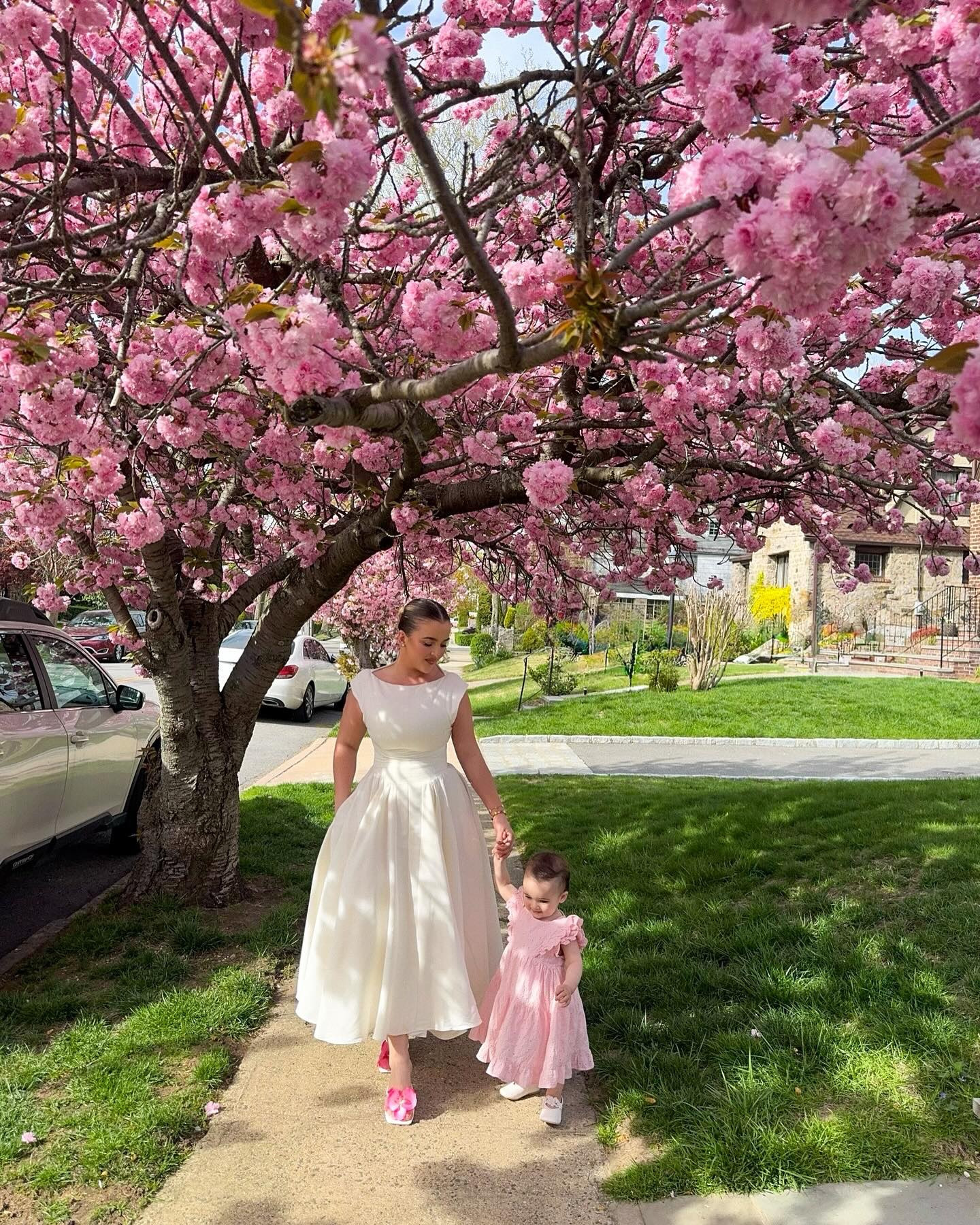 Cherry blossoms 🌸🌸🌸