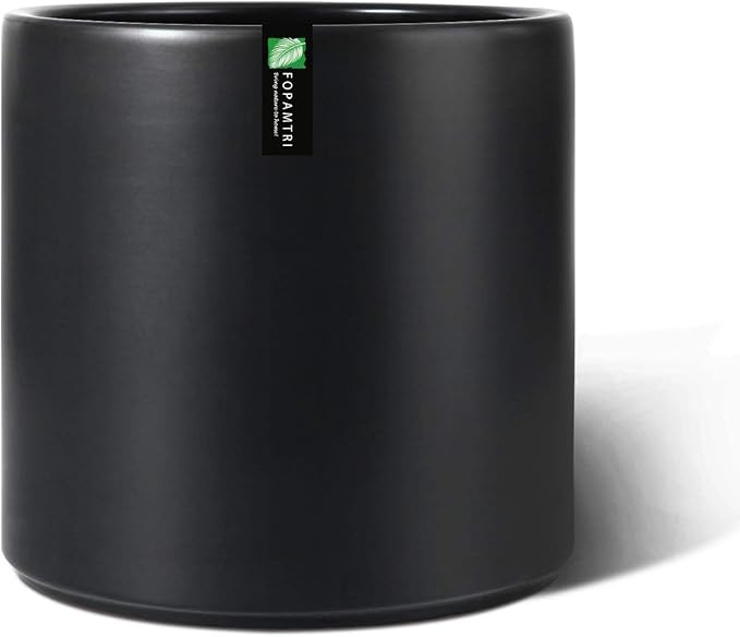 Fopamtri 10 Inch Sleek Plant Pot Matte Black Ceramic Planter for Indoor Outdoor Plants Flowers La... | Amazon (US)