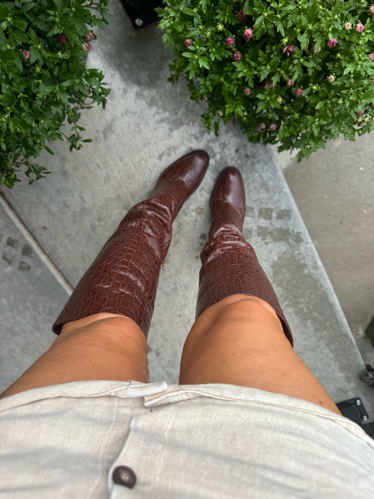 My fall boots are on sale!

Boots
Tall boots 
Brown boots 
Crocodile 
Fall 

#LTKMidsize #LTKFallSale #LTKOver40