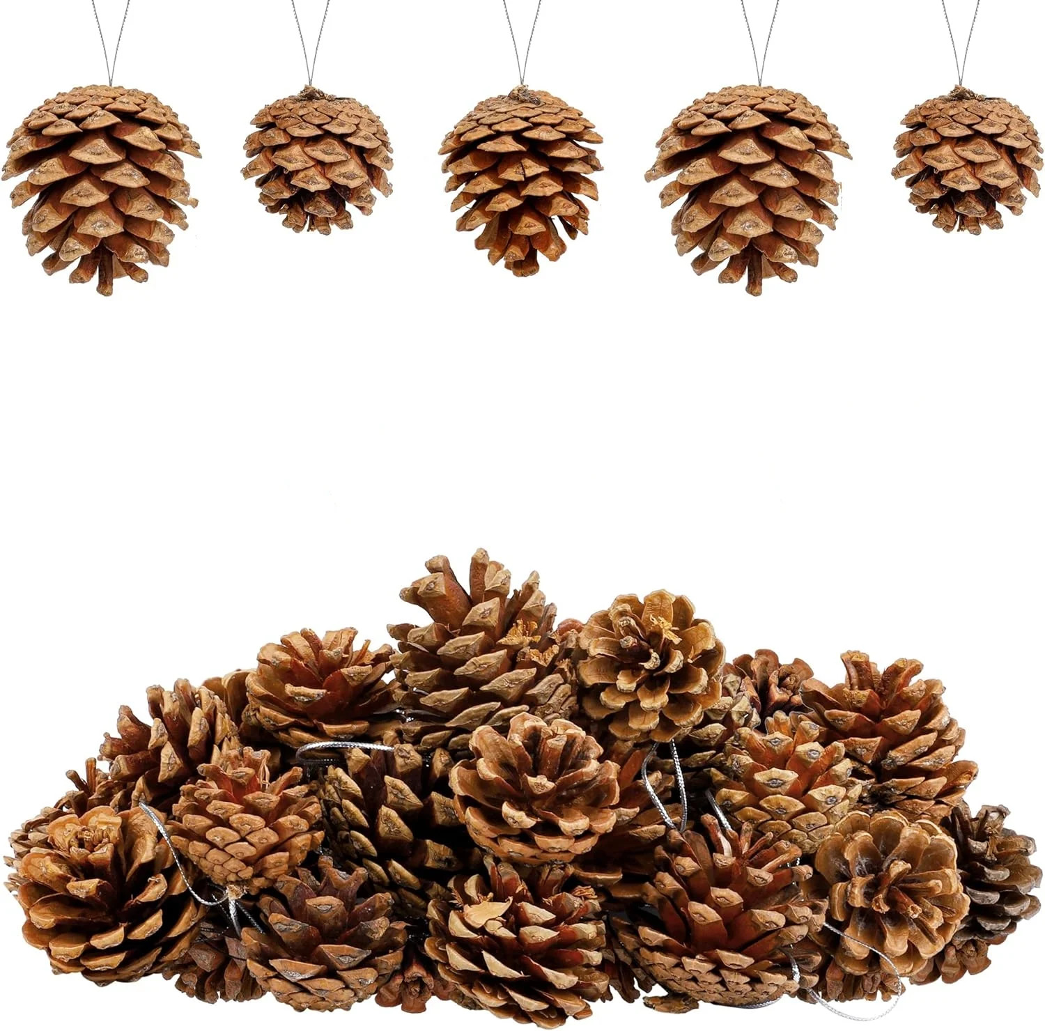 Trianu 25 Pcs Christmas Natural Pine Cones Assorted Sizes Pine Cones Christmas Tree Pine Cones Ch... | Walmart (US)