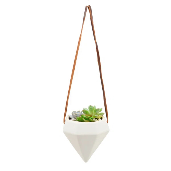 Jodie Ceramic Hanging Planter | Wayfair North America