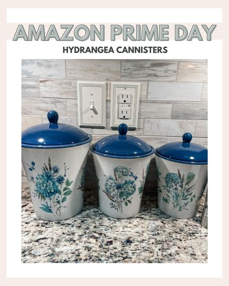 I love my hydrangea canisters, and they are on major sale today for Amazon prime day

#LTKxPrimeDay #LTKhome #LTKFind