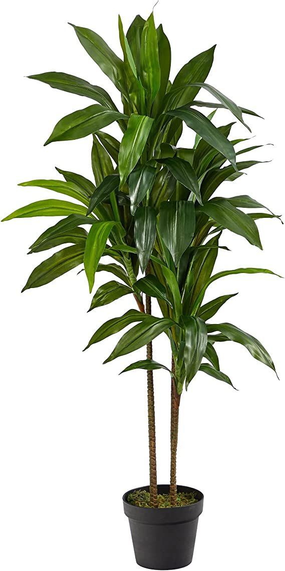 Nearly Natural 43in. Dracaena Silk (Real Touch) Artificial Plant, Green | Amazon (US)