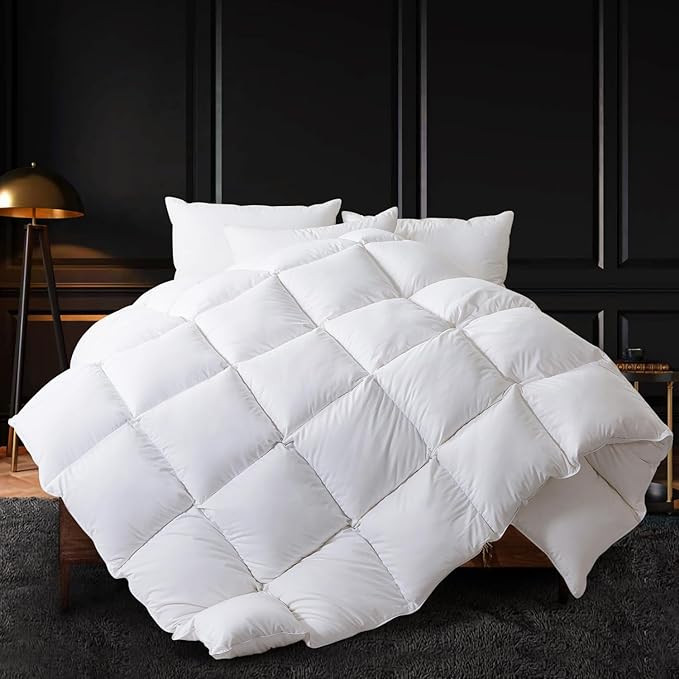 WhatsBedding Queen Size Feather Comforter, Filled with Feather and Down, White All Season Duvet I... | Amazon (US)