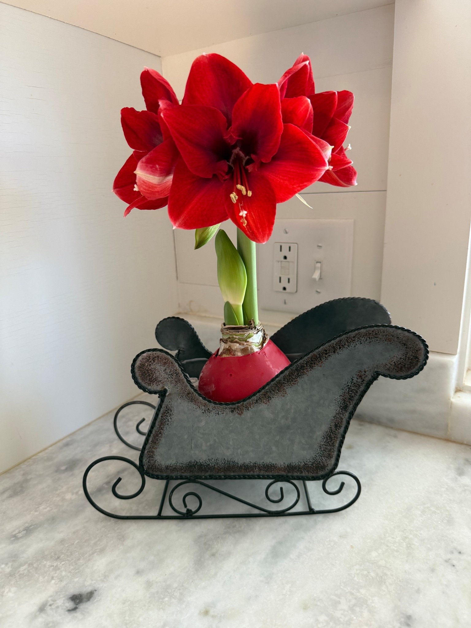 What a gorgeous gift! 🥰

#LTKGiftGuide #LTKCyberWeek