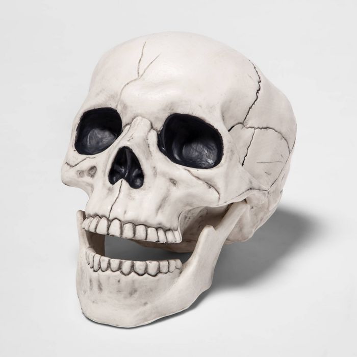 Medium Skull Halloween Decorative Prop - Hyde & EEK! Boutique™ | Target