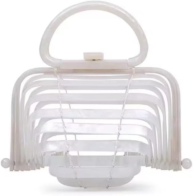 BIRD CAGE BAGS - Women's Acrylic Hollow Small Handbag Long Strap Tortoiseshell Rainbow Shiny Colo... | Amazon (US)