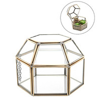 Click for more info about 4.75 inch Faceted Hexagonal Clear Glass & Brass Metal Hinged Top Lid Plant Terrarium Box / Tabletop 