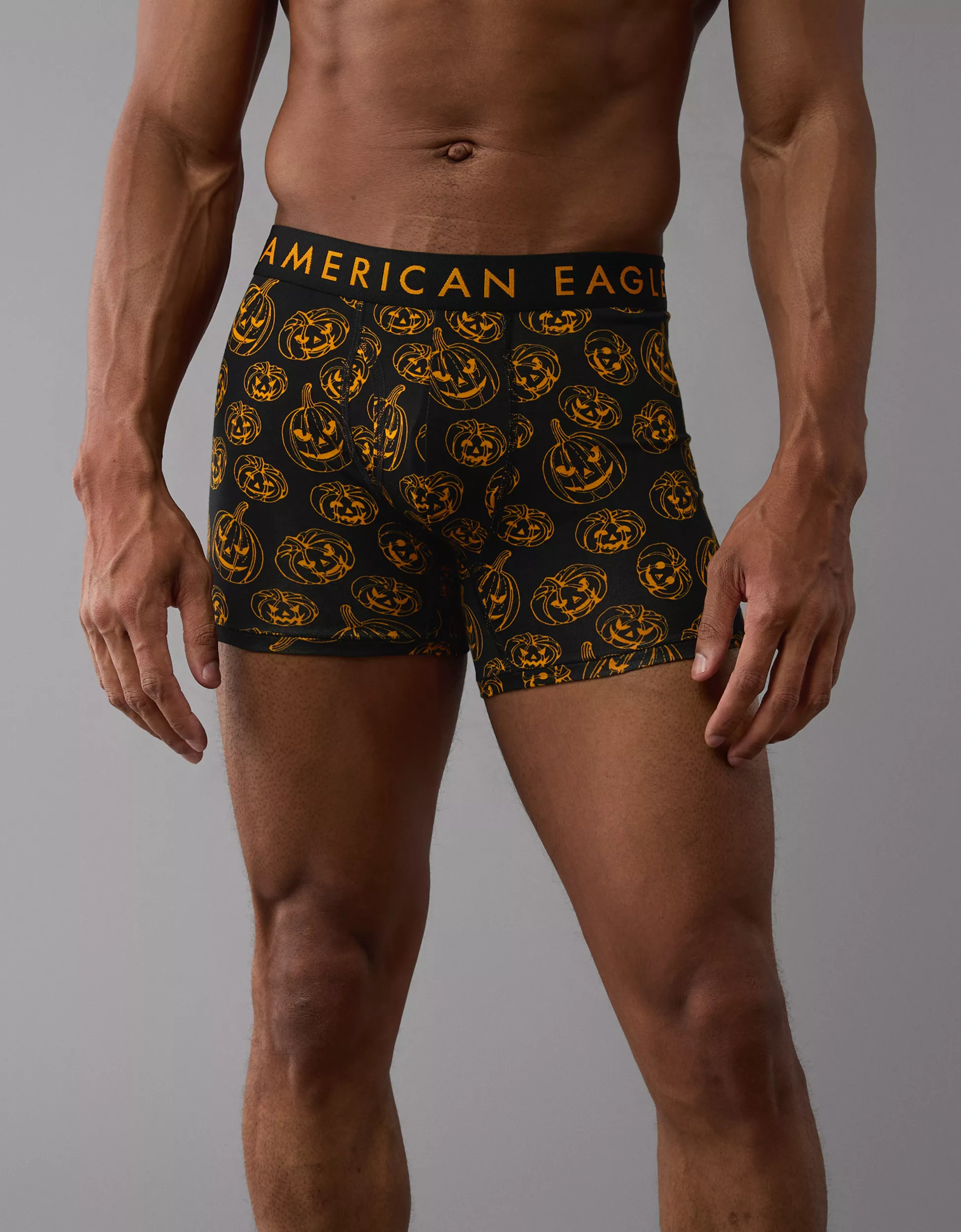 AEO Men's Pumpkins 4.5" Classic Boxer Brief | American Eagle Outfitters (US & CA)