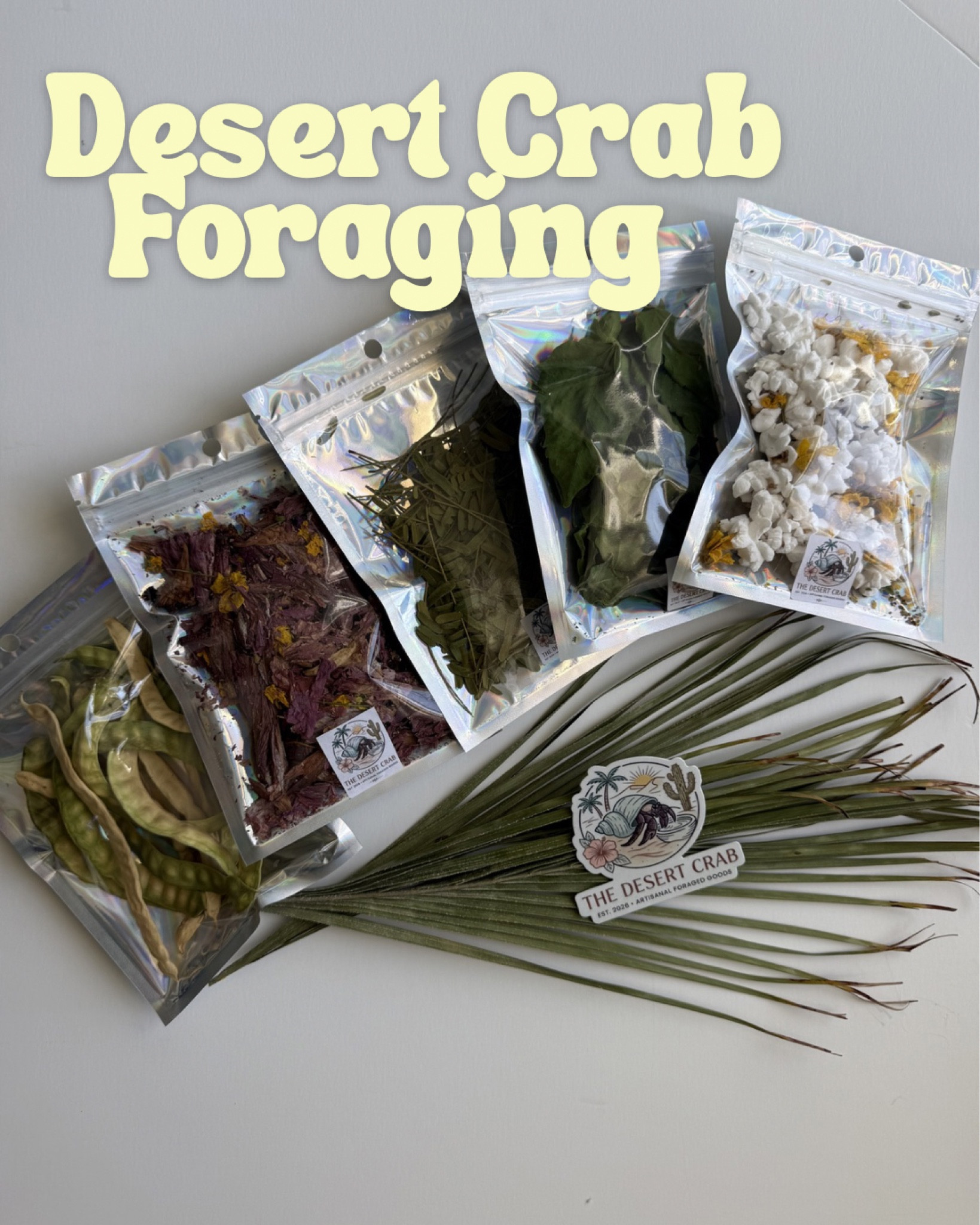Great foraging and enrichment for hermit crabs from the Desert Crab!