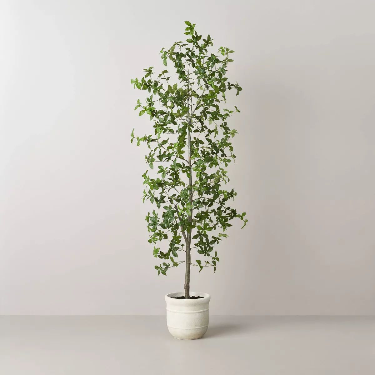 72" Faux Gypsophila Leaf Tree - Hearth & Hand™ with Magnolia | Target