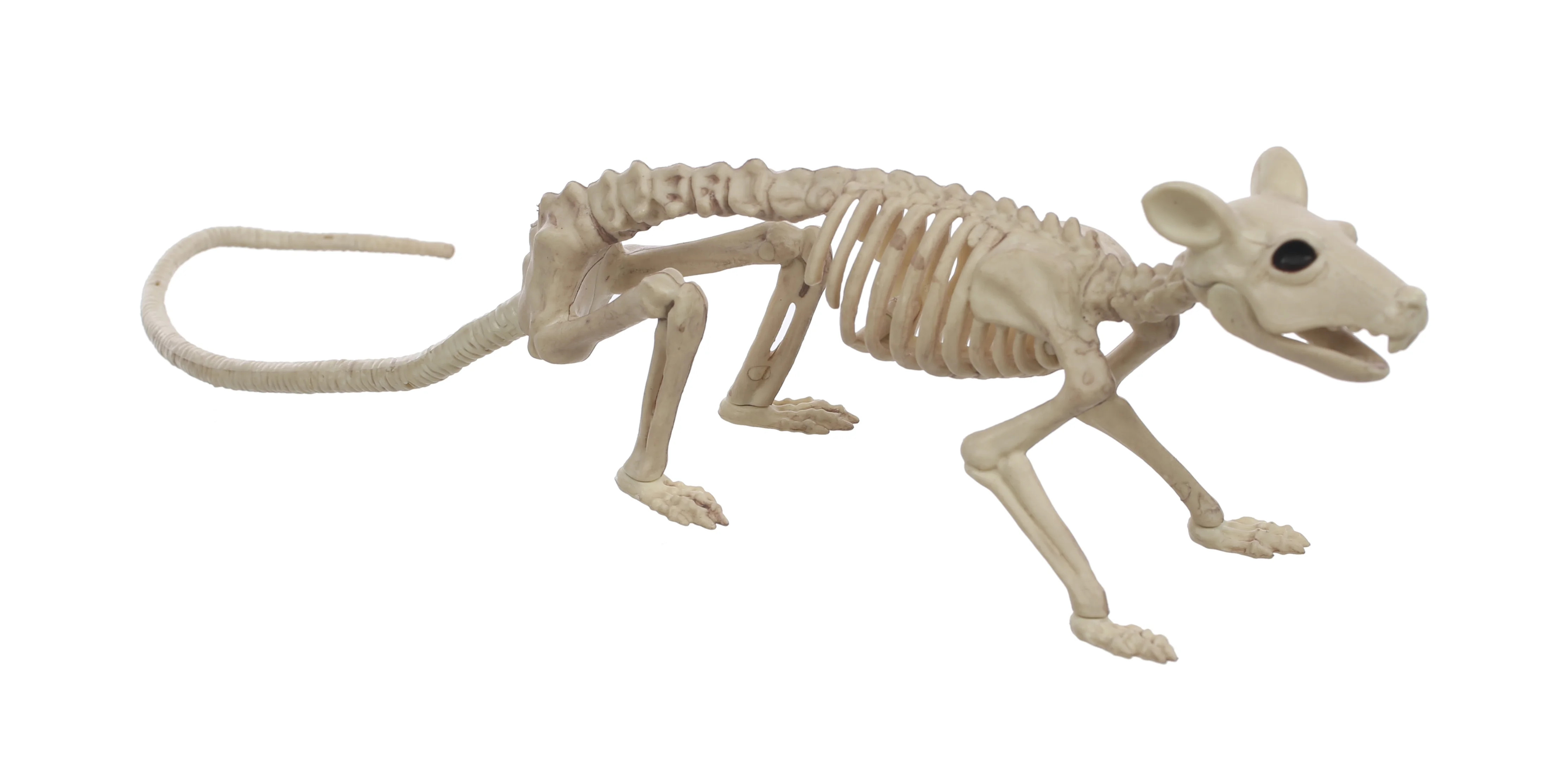Official Crazybonez Faux Rat Skeleton | Walmart (US)