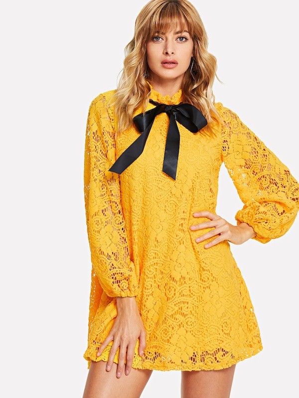 SHEIN Lantern Sleeve Flower Lace Overlay Ruffle Tied Neck Dress | SHEIN