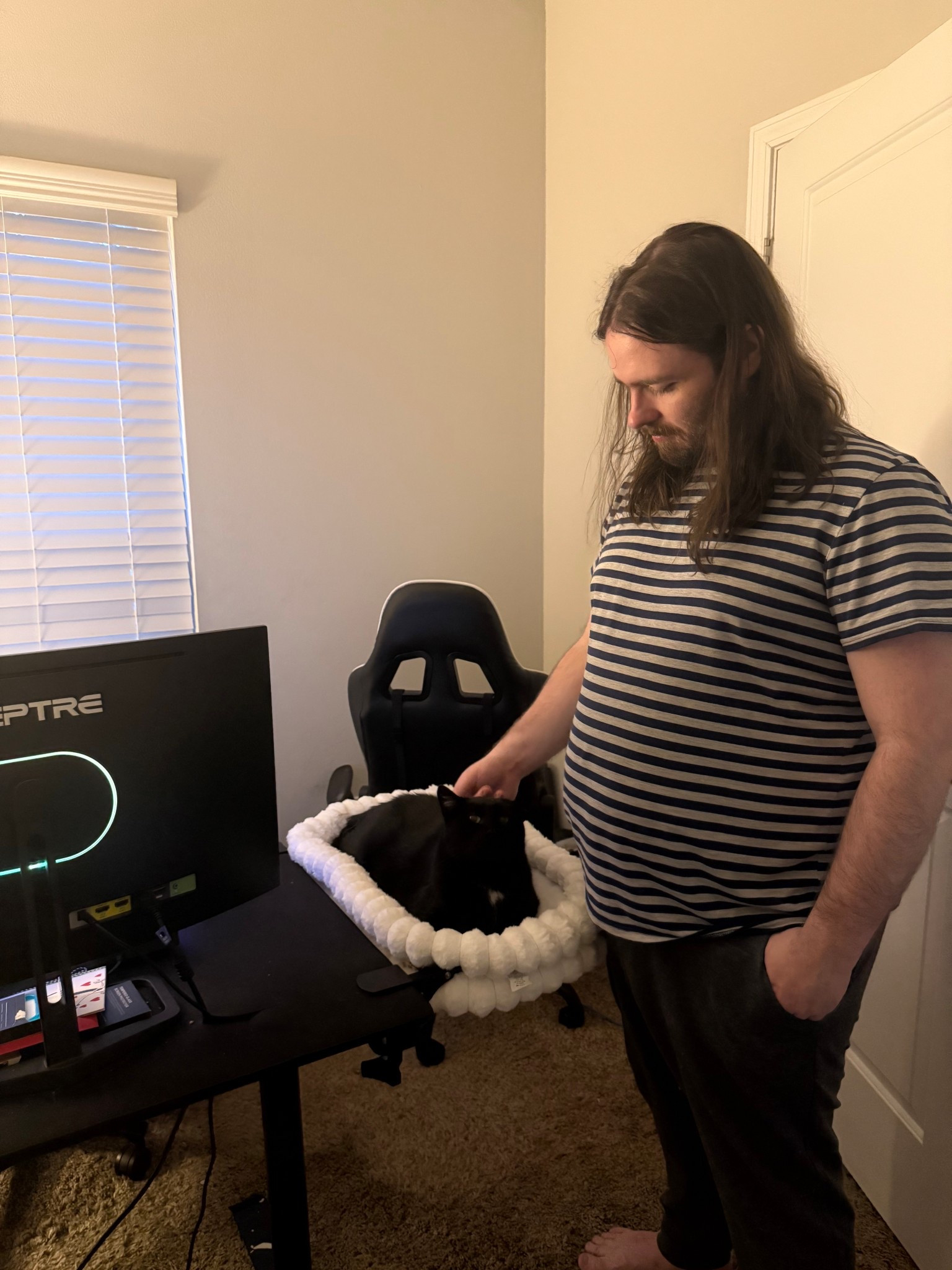 Cat bed attached to desk!