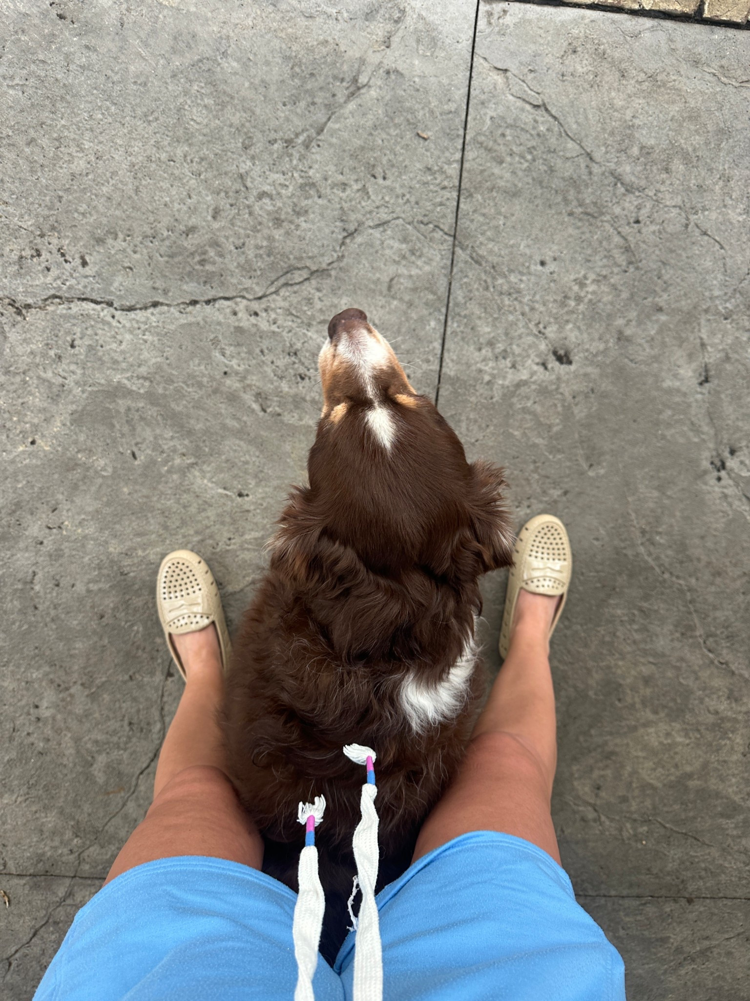 Fluffers & @Floafers 

#LTKmomlife #LTKKids #LTKootd