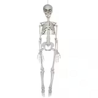 3ft. Skeleton by Ashland® | Michaels Stores