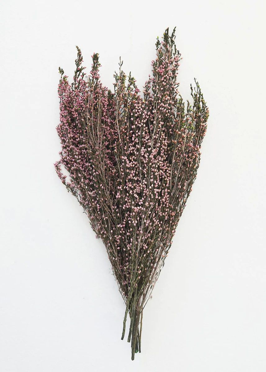 Naturally Preserved Heather Flowers - 15-20" | Afloral (US)