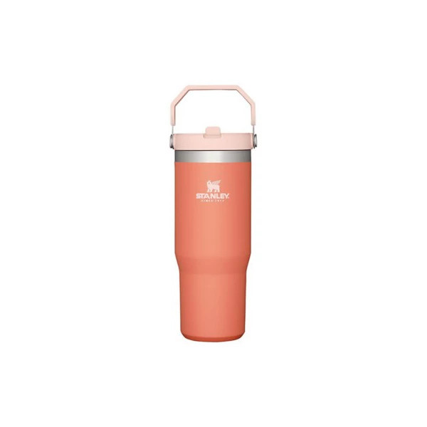 Stanley Iceflow Flip Straw 30 oz Tumbler | Scheels
