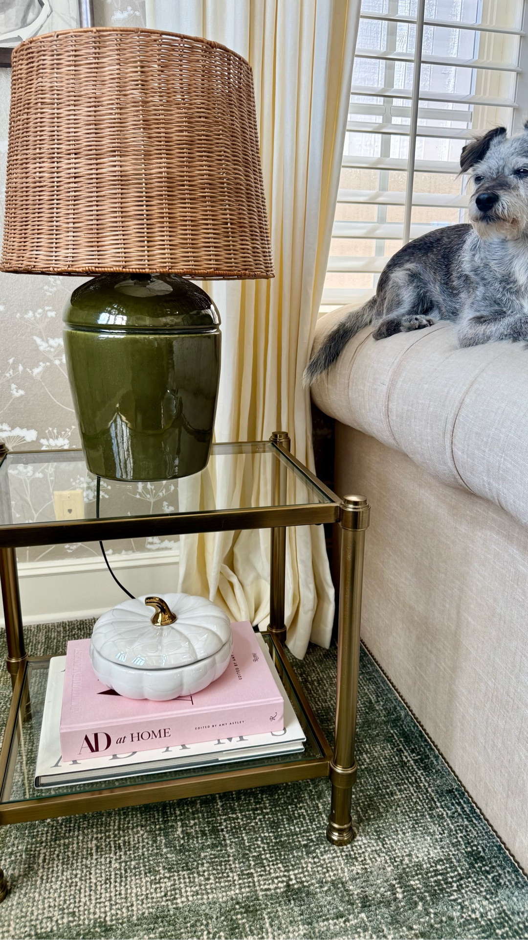 This Amazon rattan lamp shade I feel like has changed the space 😍