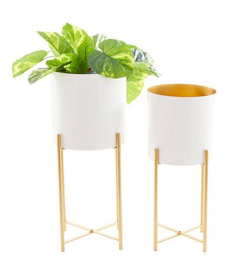 White & Goldtone Metal Contemporary Planter & Stand - Set of Two | Zulily