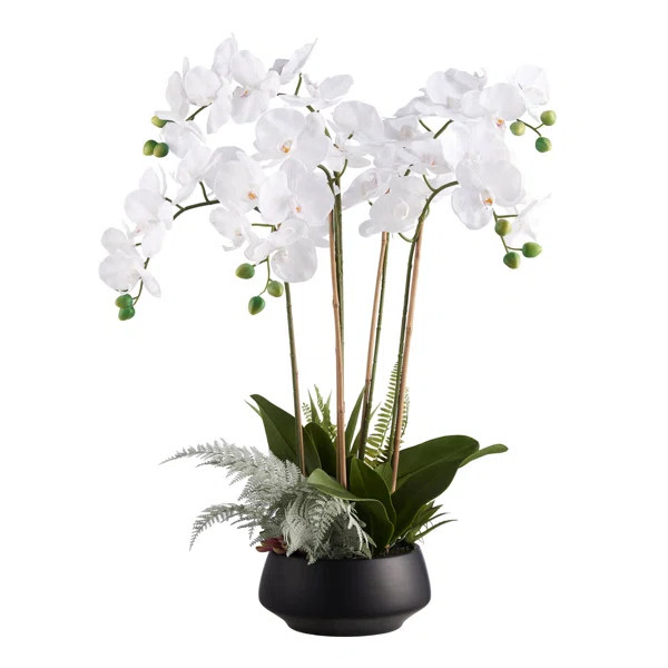 Orchid Floral Centerpiece in Pot | Wayfair North America