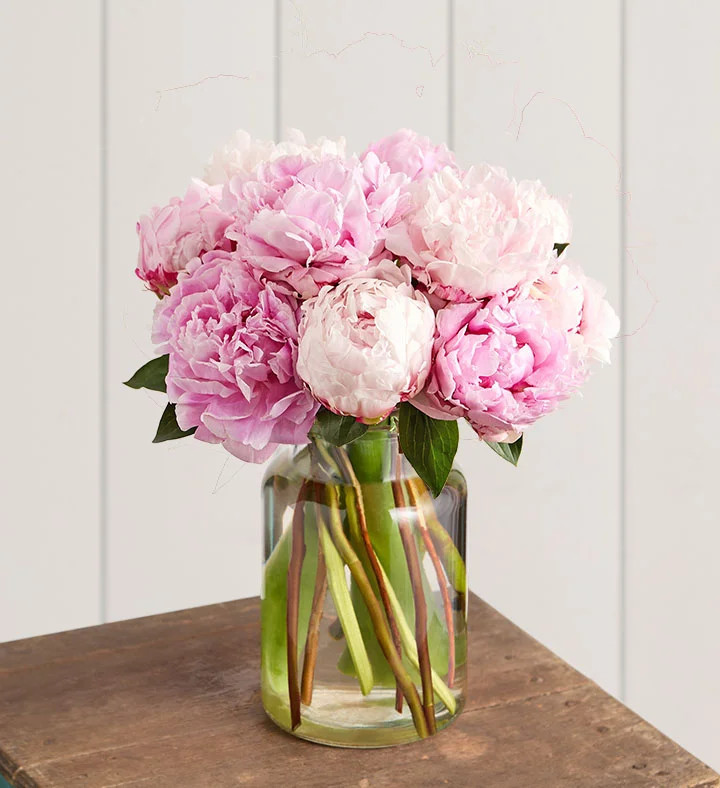 1-800-Flowers Flower Delivery Precious Peony Bouquet 10 Stems W/ Apothecary Jar | 1800flowers.com