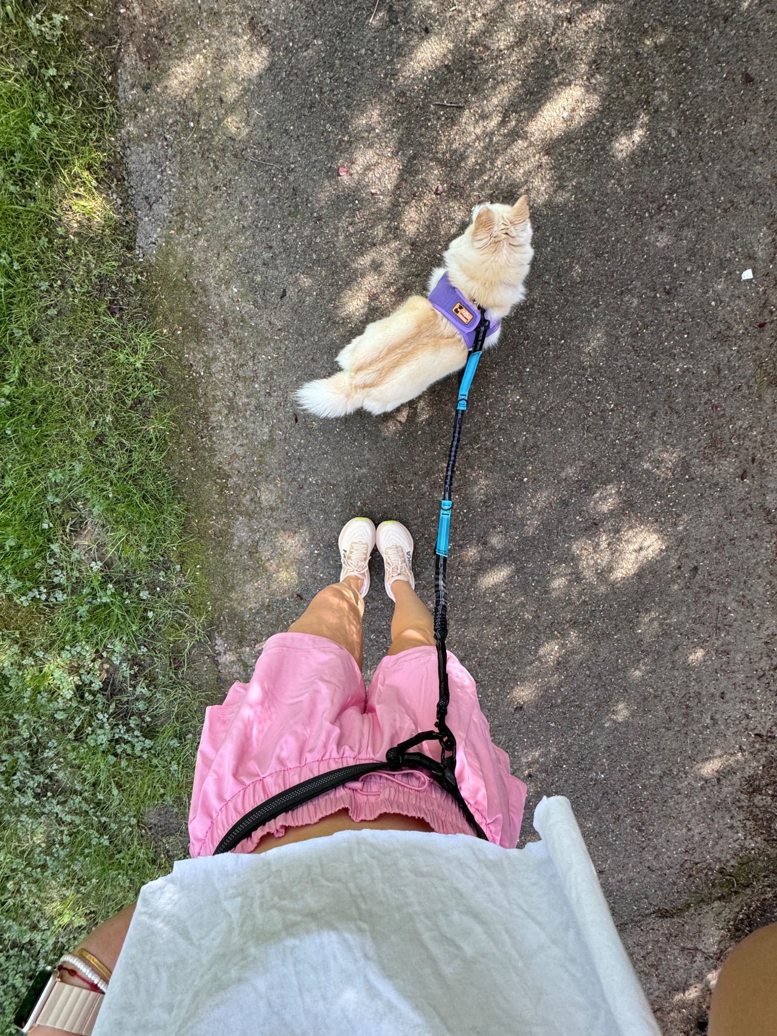 Audiobook hot girl walk 🩷 

#LTKStyleTip #LTKActive #LTKSeasonal