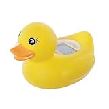 Dreambaby Room & Bath Thermometer - BPA Free - Accurate Temperature Gauge (Duck) | Amazon (US)