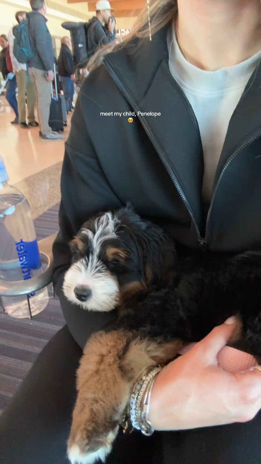 Meet my new puppy, Penelope 