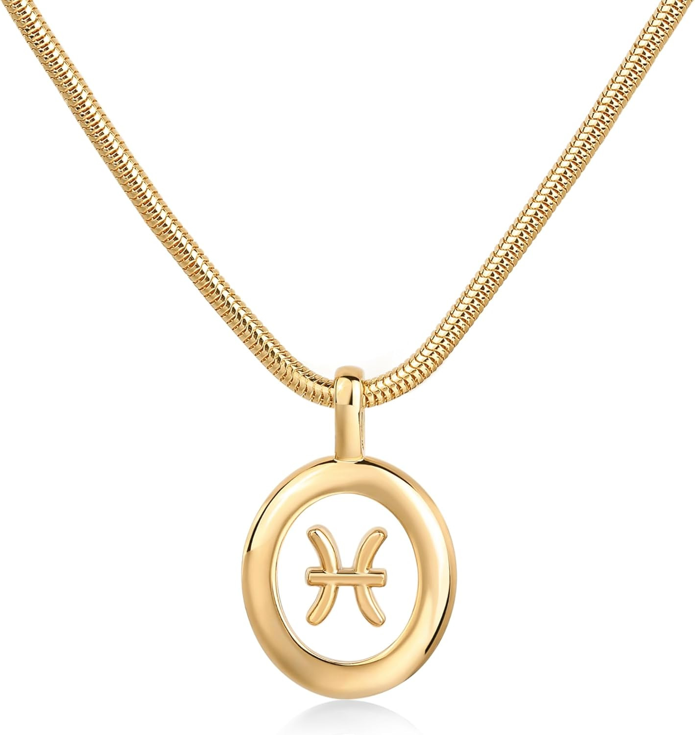 PAVOI 14K Gold Plated Unique Floating Astrology Pendant Necklace for Women | Horoscope Charm Neck... | Amazon (US)