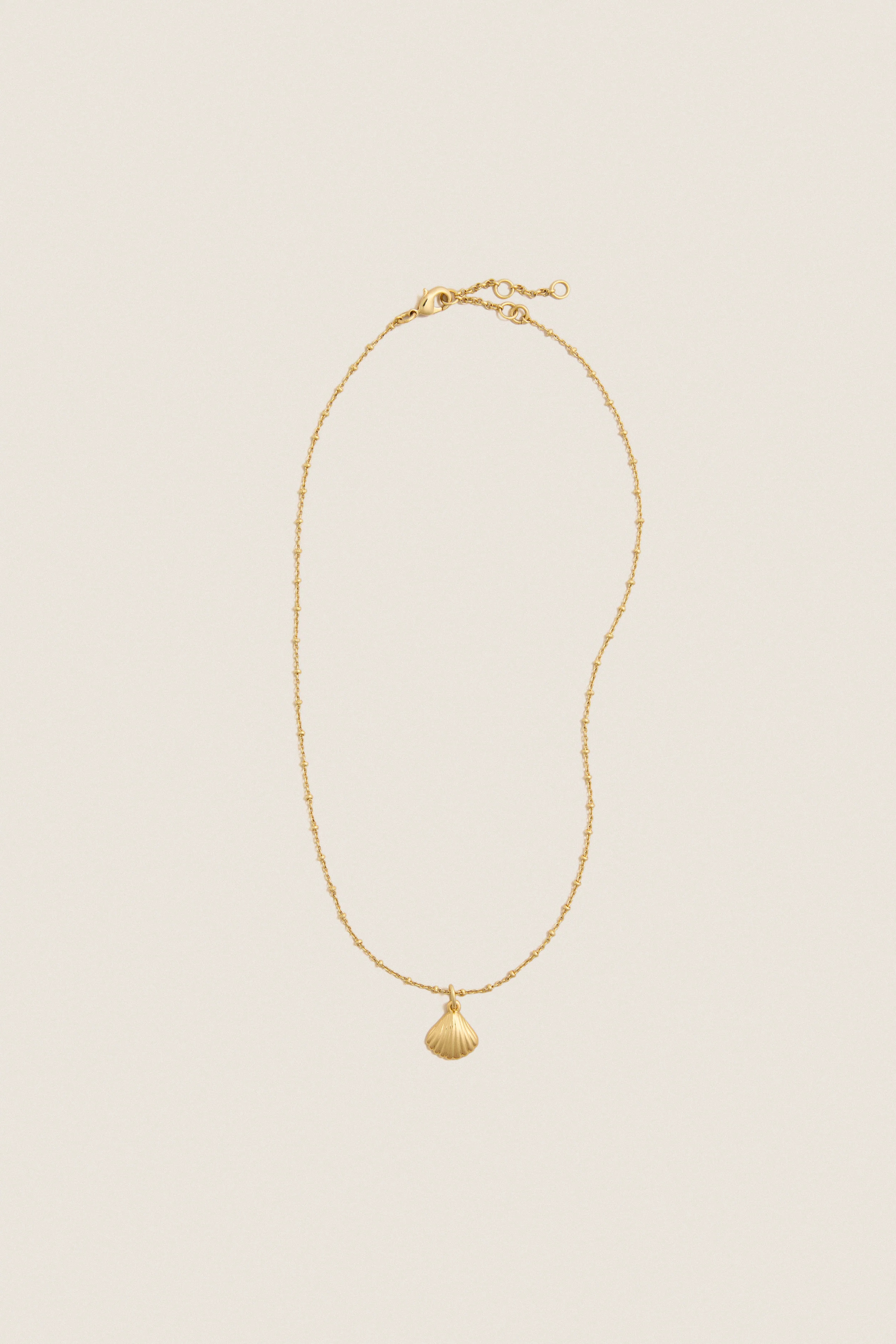 Gold Shell Bridget Necklace | Tuckernuck (US)